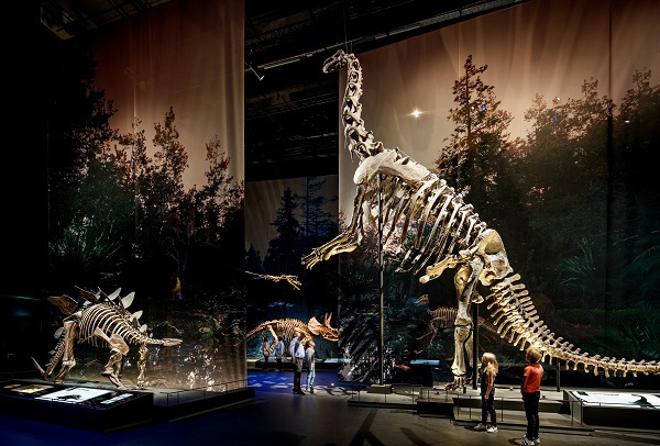 Dinotijd overzicht zaal Naturalis - Mike Bink Fotografie
