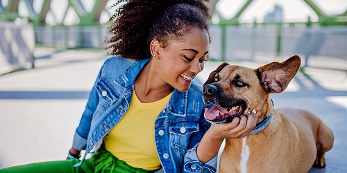 Nieuwe editie Profiel Groen bovenbouw vanaf schooljaar 2026-2027