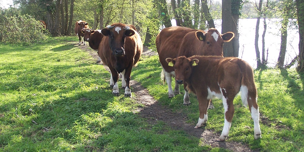 Blog | Je koers bepalen als boer