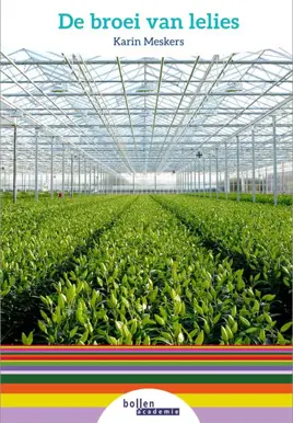 De broei van Lelies