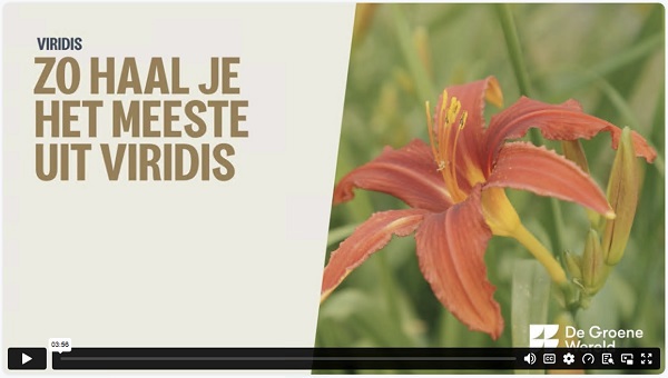 Screenshot video Zo haal je het meeste uit Viridis
