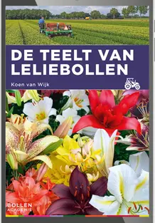 De teelt van leliebollen - digitaal