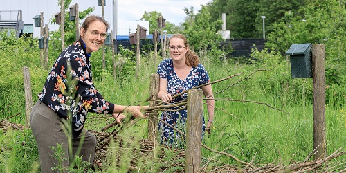 Meer biodiversiteit op het schoolplein met keuzevak Natuurlijk groen