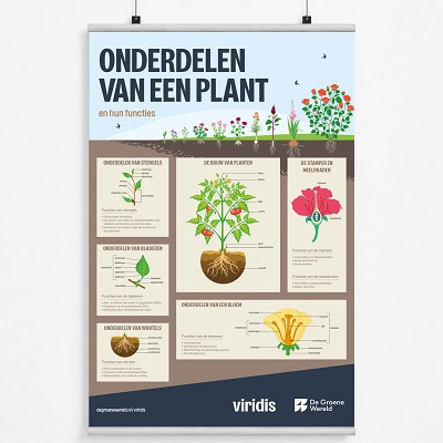 Poster onderdelen plant Viridis