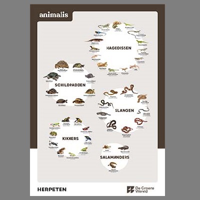 Animalis poster