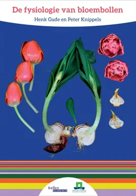 De fysiologie van bloembollen