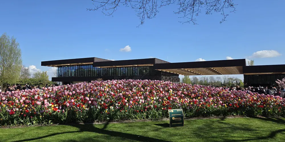 Terugblik: waardevolle middag met mbo-docenten Groene ruimte in de Keukenhof