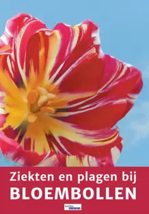 Ziekten en plagen bij bloembollen