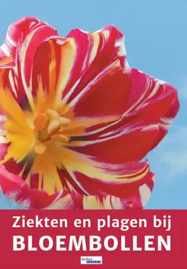 Ziekten en plagen bij bloembollen