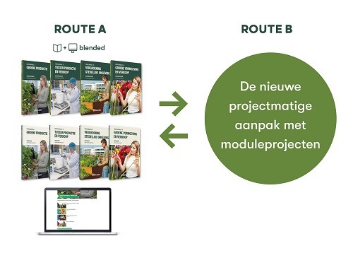 Twee opties Profiel Goen bovenbouw: route A en B