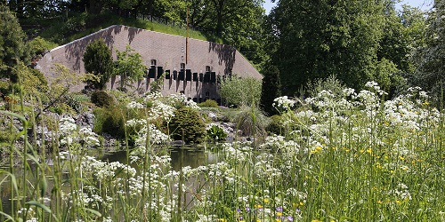 Kom op 24 juni naar de Viridis bijeenkomst in de Botanische Tuinen in Utrecht!