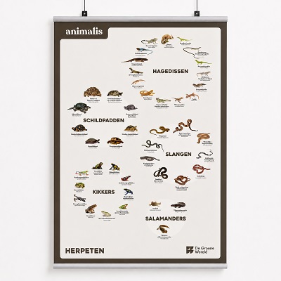 Animalis poster herpeten