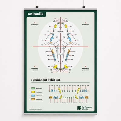 Animalis poster gebit kat