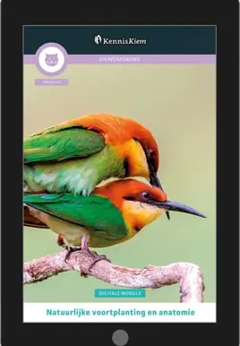 Digitale module Natuurlijke voortplanting & anatomie
