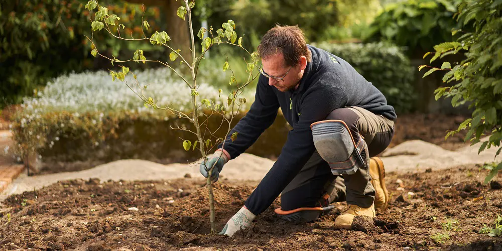 Belangrijkste wijzigingen nieuwe kwalificatiedossier Groene ruimte 2026