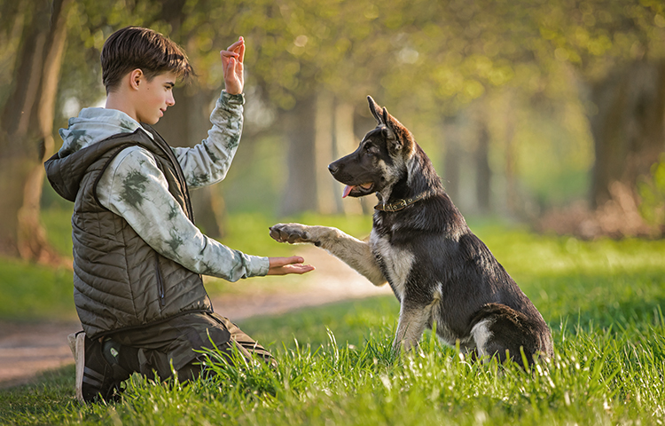 Profiel Groen onderbouw