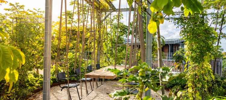 Viridis bijeenkomst #3 op de groenste eventlocatie van Nederland